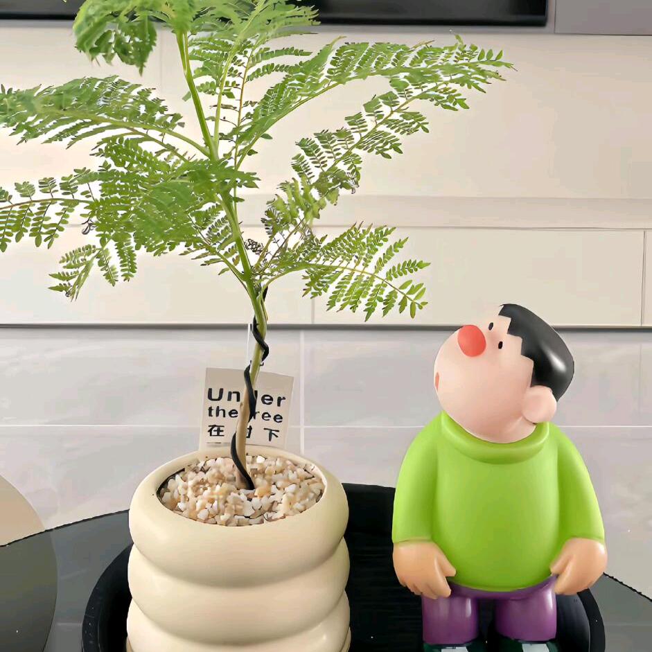 悠悠Momᥫᩣ