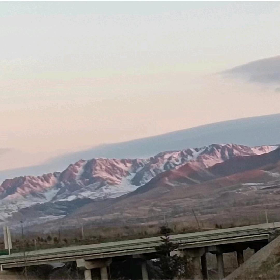 实实在在
