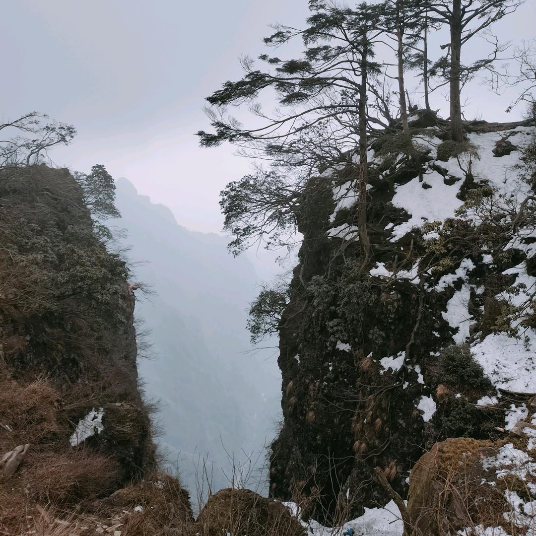 ♨️披着羊皮的狼♨️