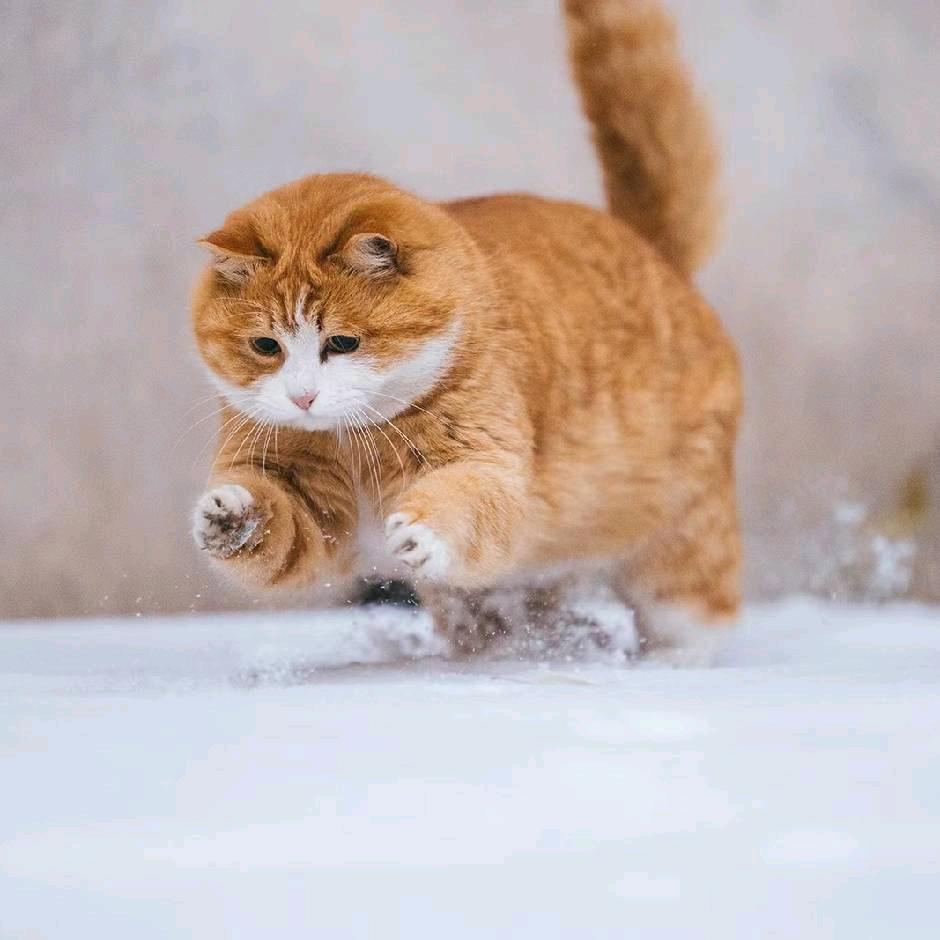 顺便