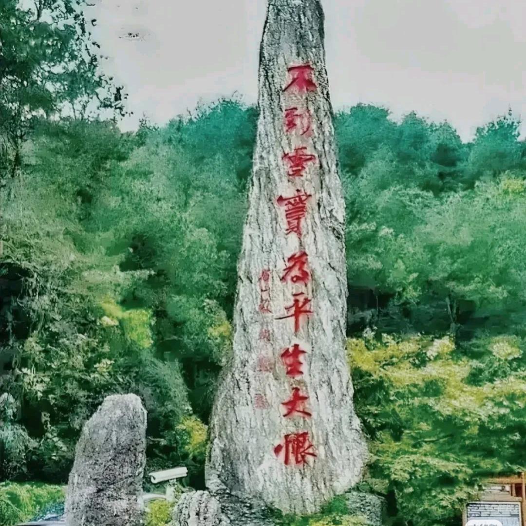 回正