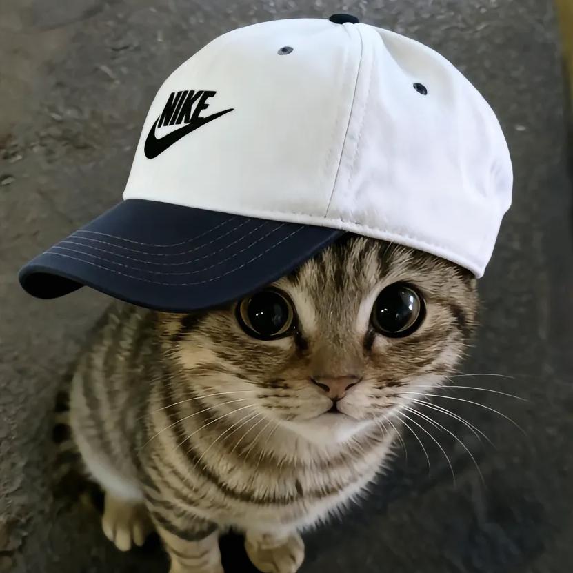 我一定会回来的