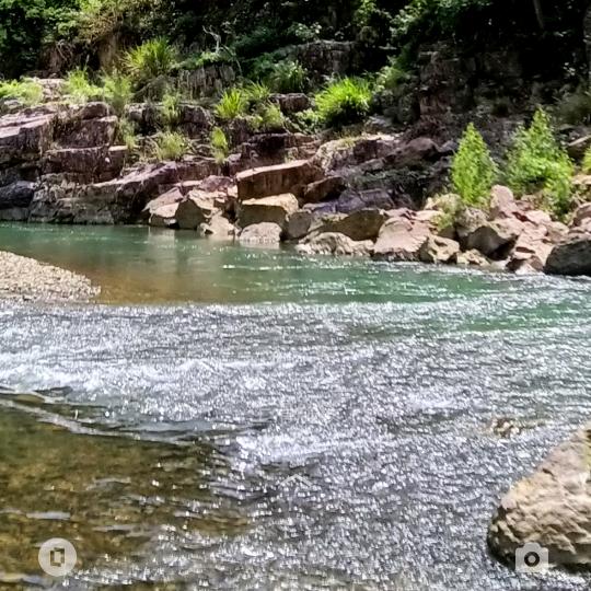 风往北吹