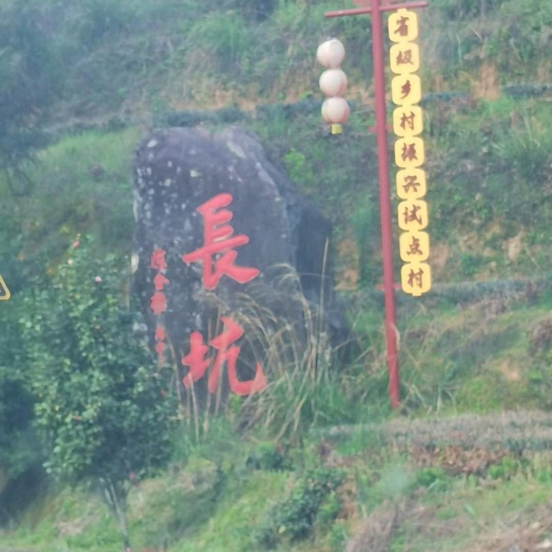 →记忆永恒←