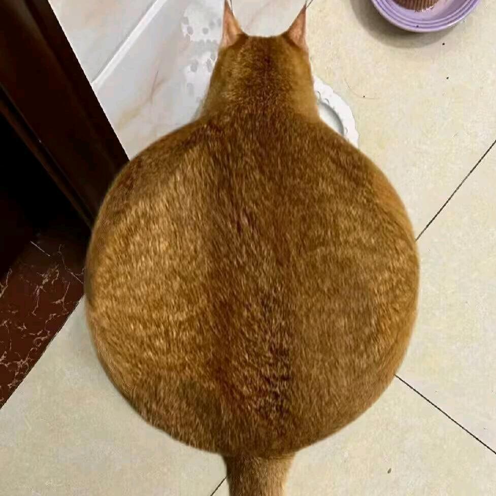 怖いです