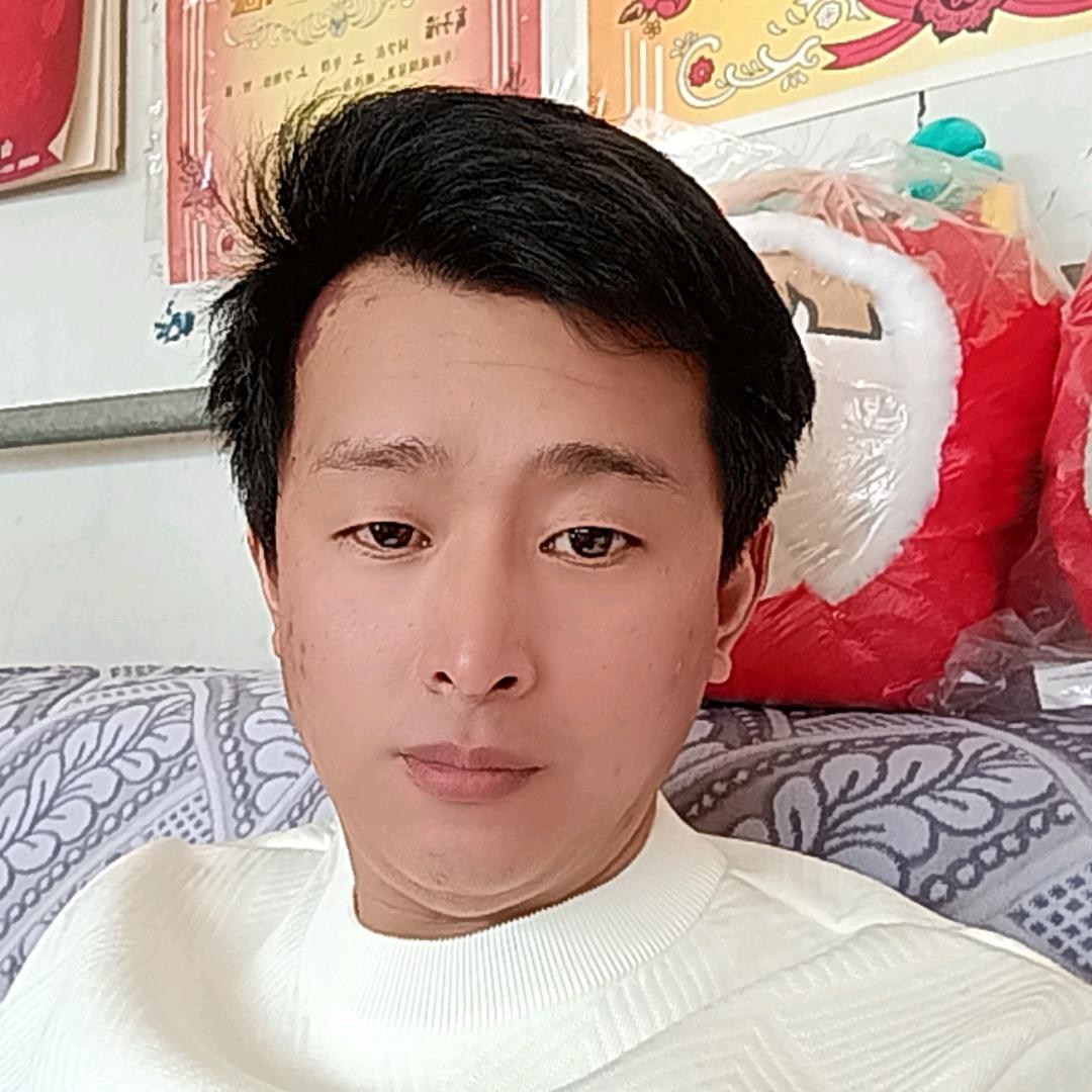 风中孤雁，爱相随