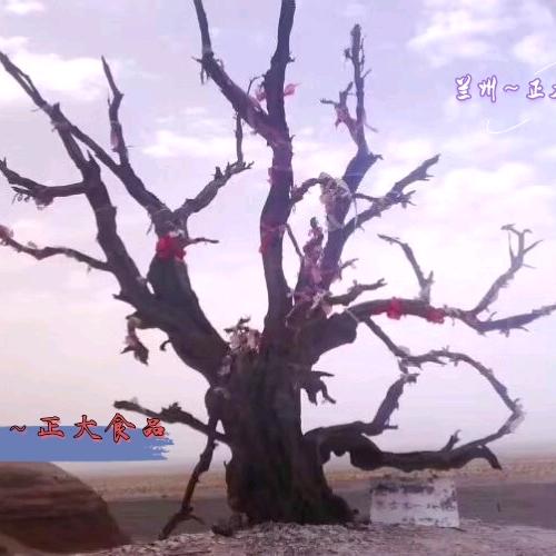 ꧁陕西人💓在兰州꧂