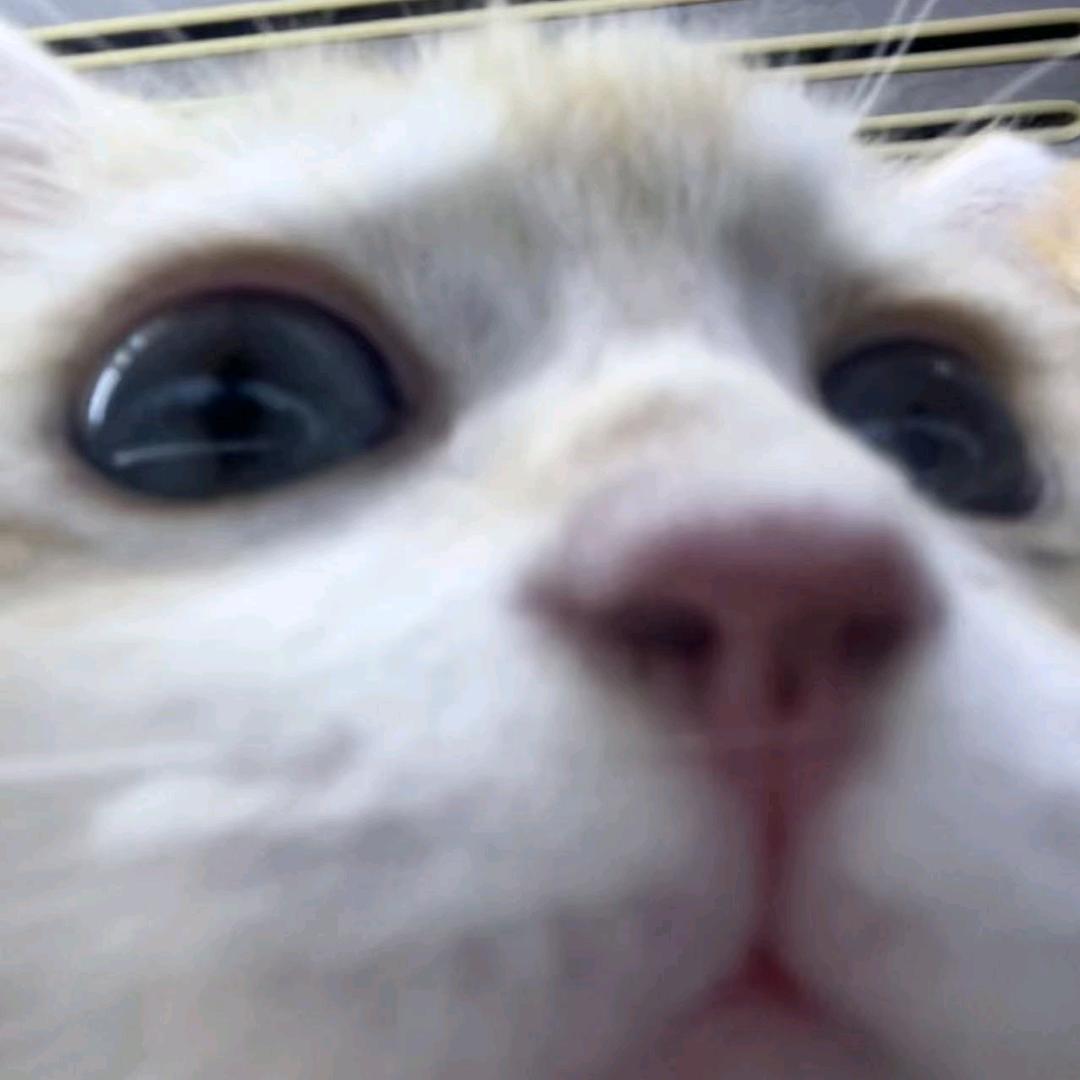 开朗四眼特码头