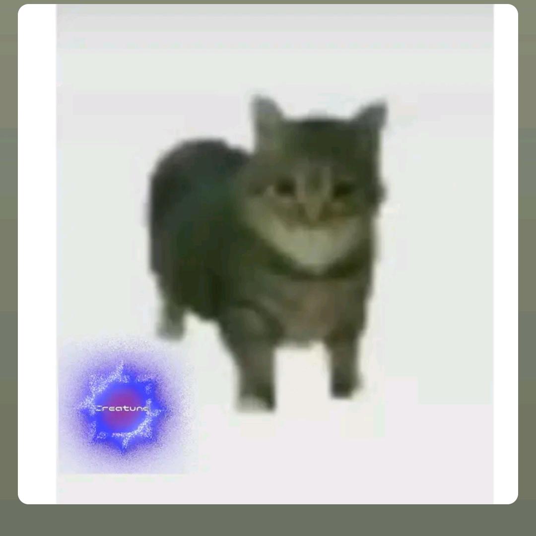 甜甜圈🌞
