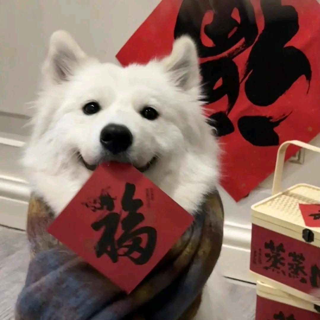 努力变得更好