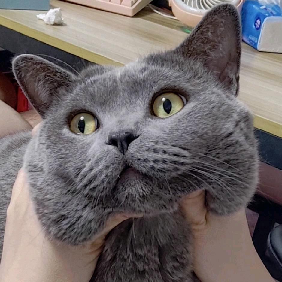 麤璐璐