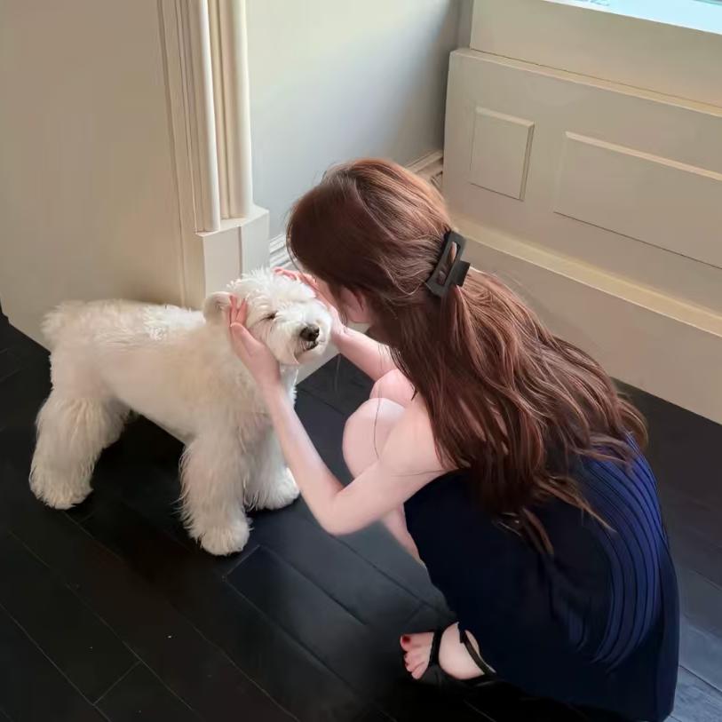 小猫不吃鱼