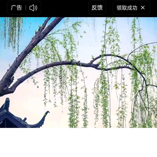 岁月静美
