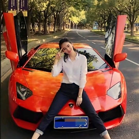 DT集团沈董 桥梁工程🇨🇳