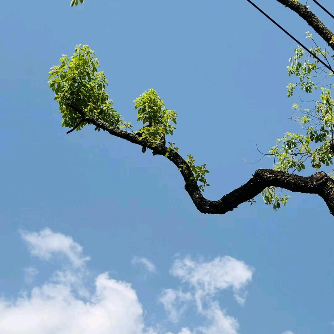 有一家卖包的店 1