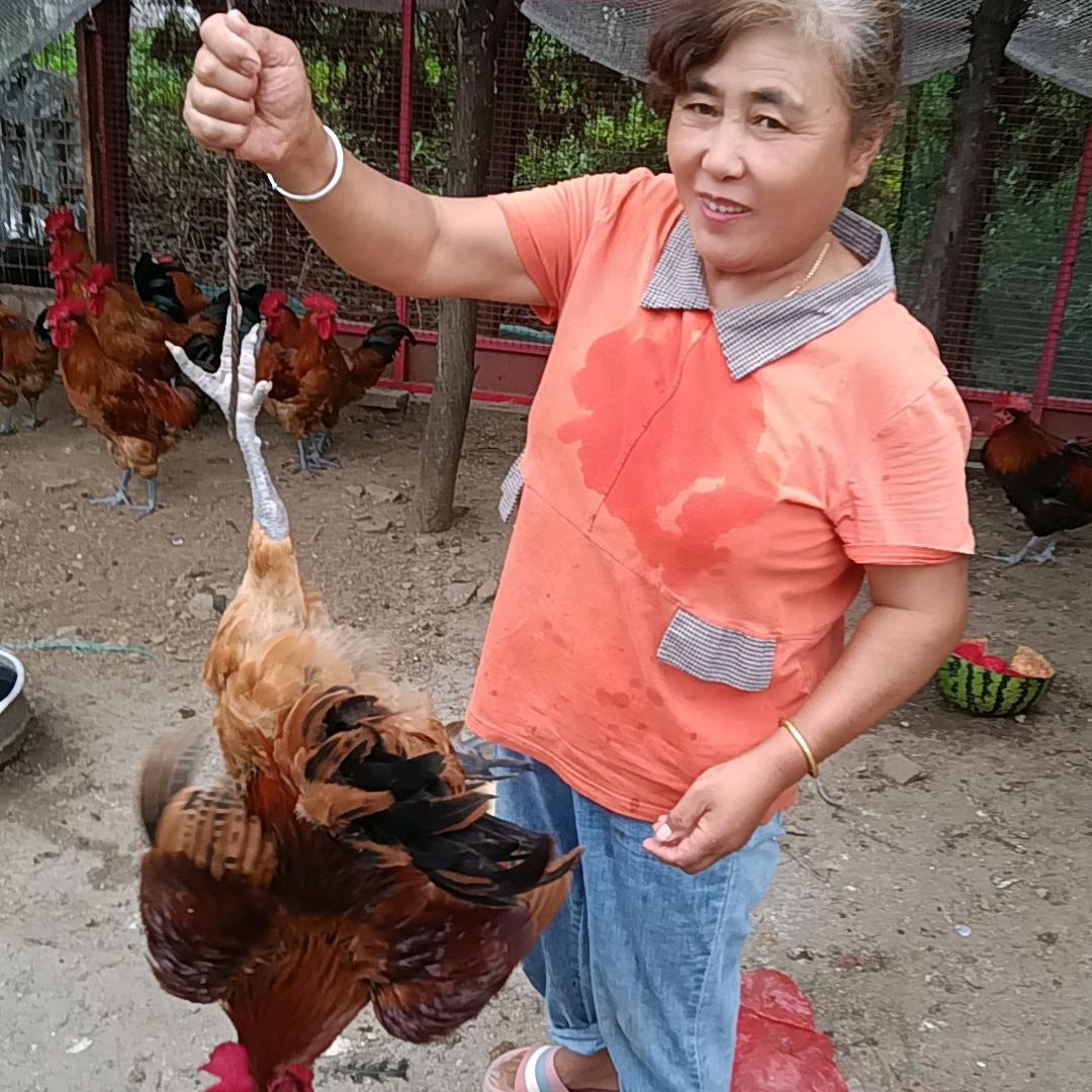 草沃地锅鸡……吕姐炒鸡