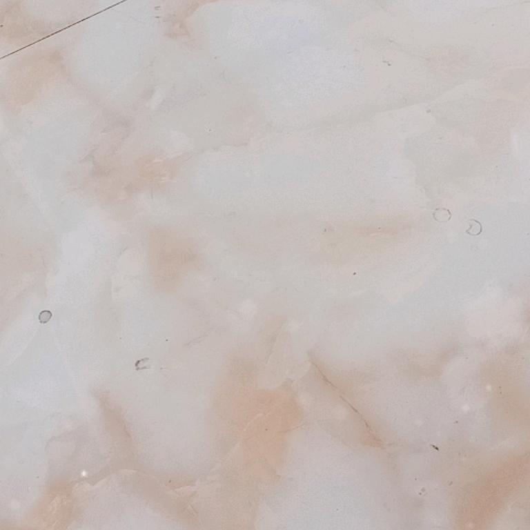 土拨鼠