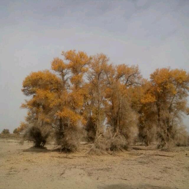 最熟悉的陌生人