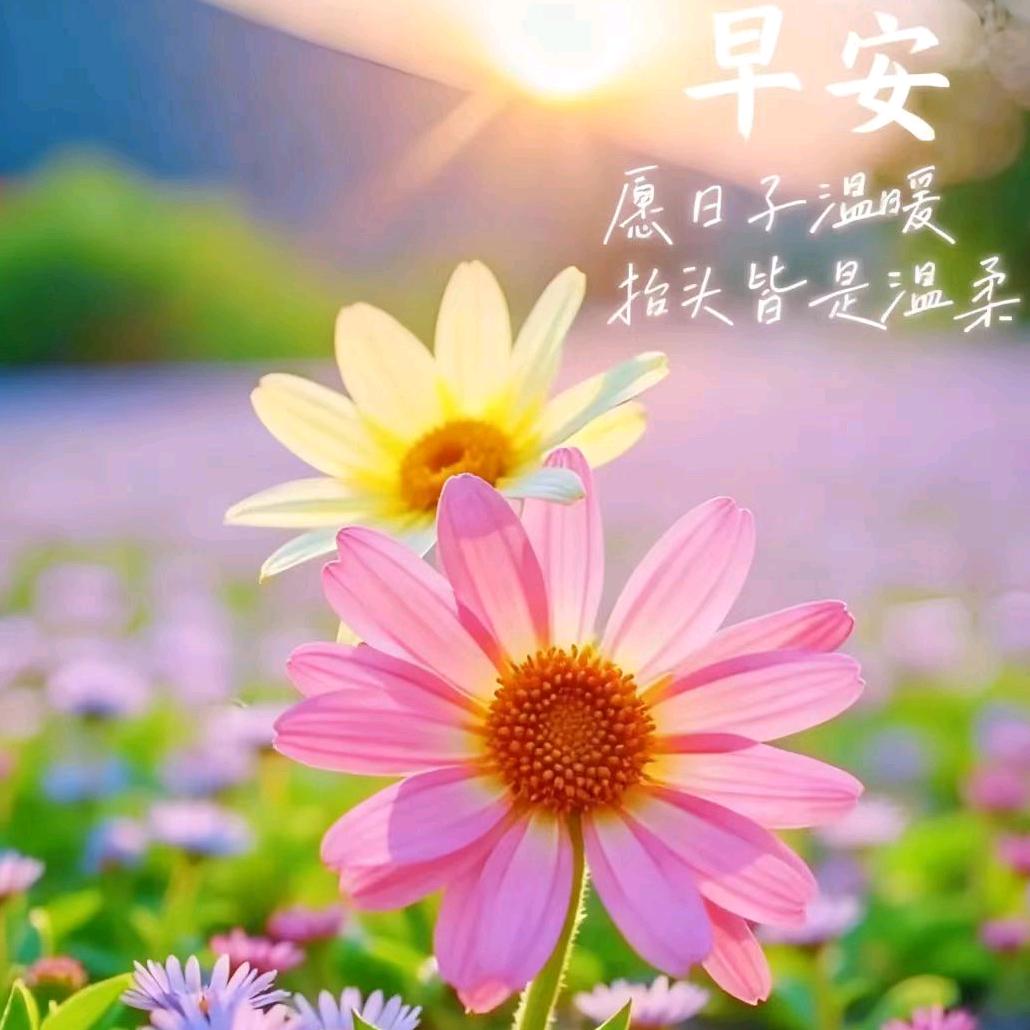 小糯米