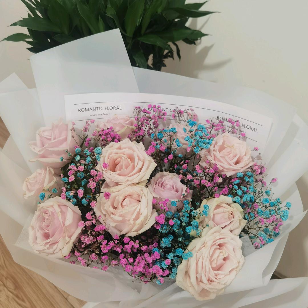 红苹果嗨酷乐园