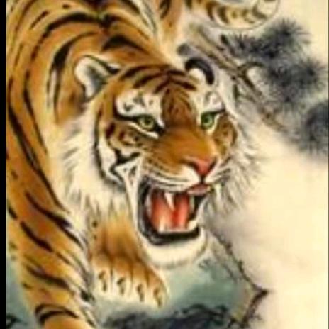 🐲猛❤️虎🐲