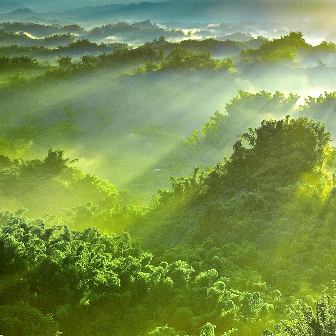 空白