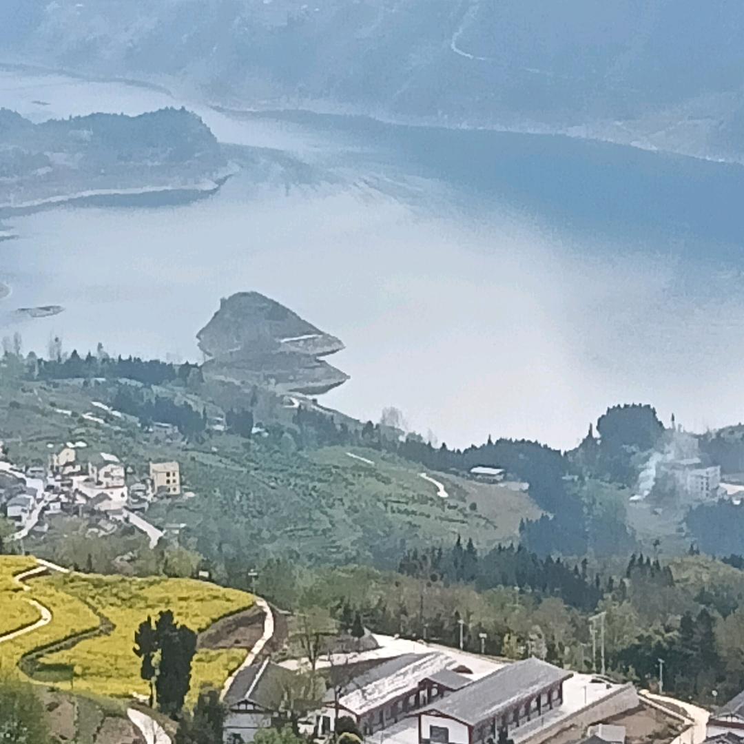 金潼