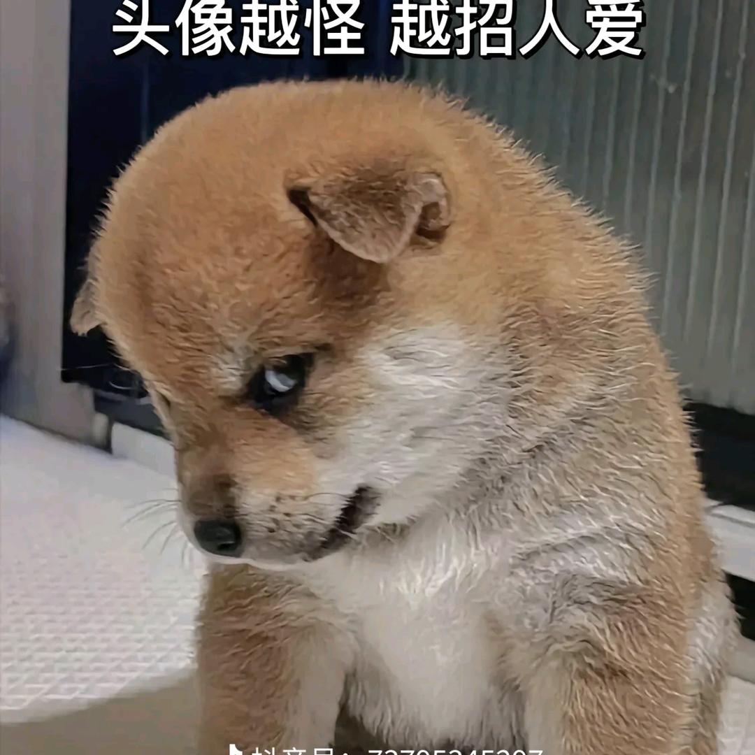 深情