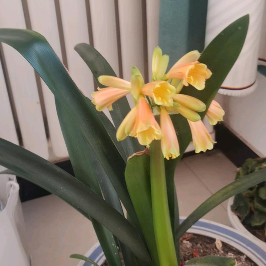 绝不认输，勇往直前