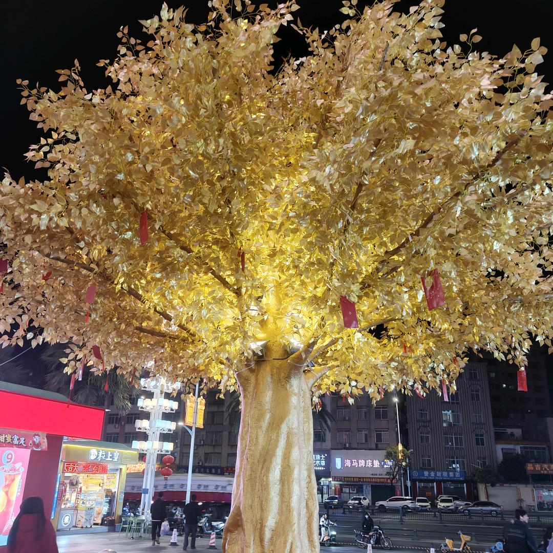 健养壹号梅子醋