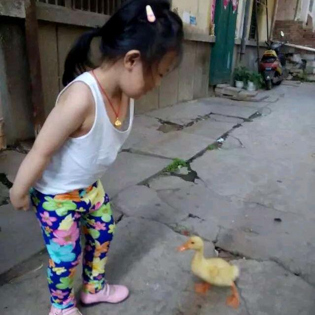 赵鸿