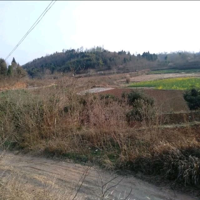 冬天