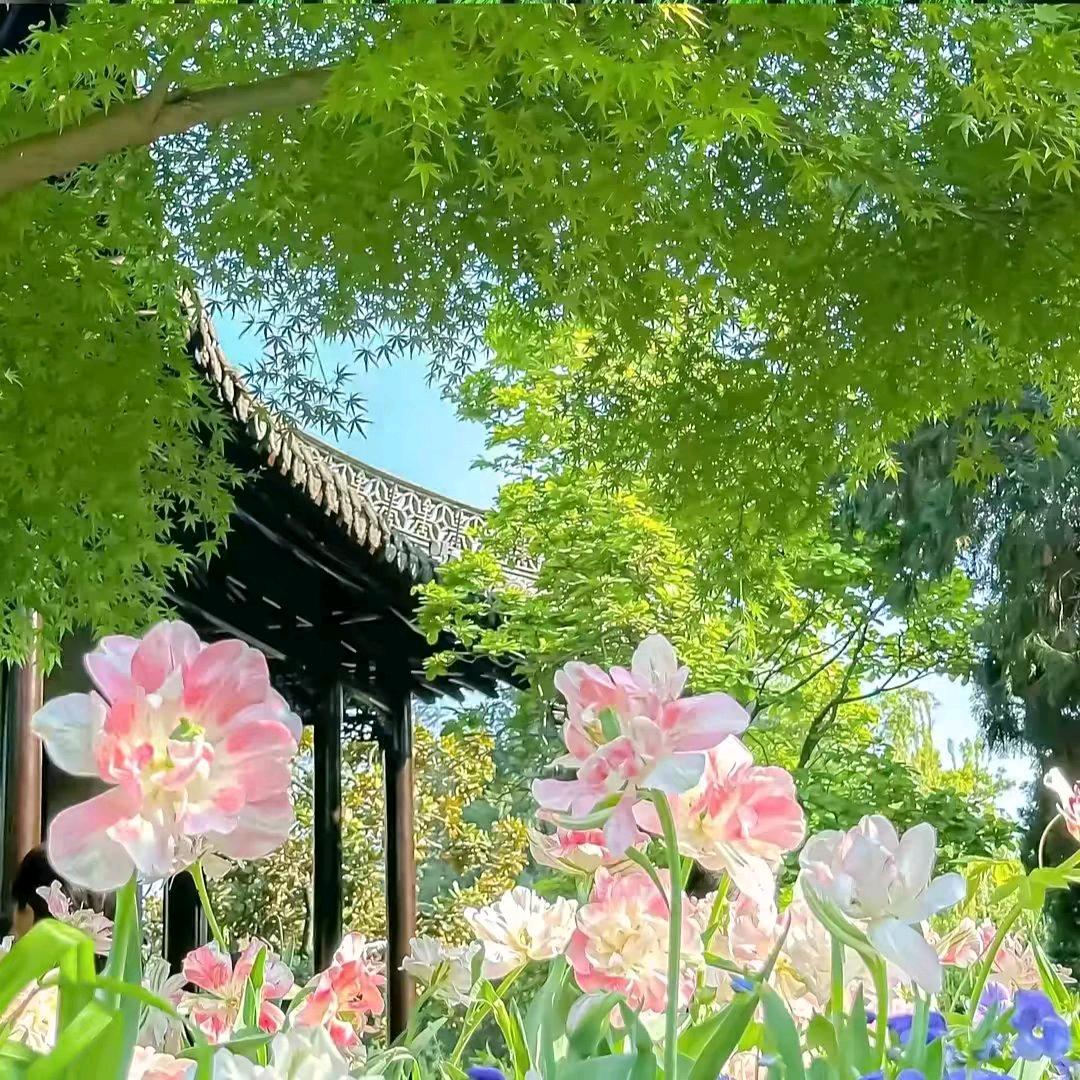 心连心