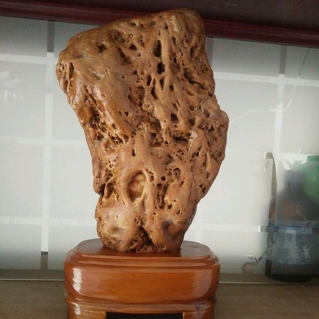 深情树