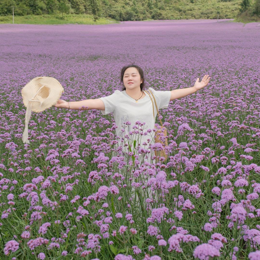燕子姐姐