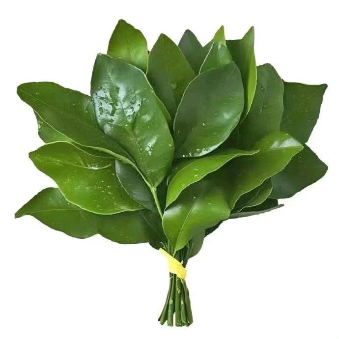 爱如火❤️‍🔥❤️‍🔥