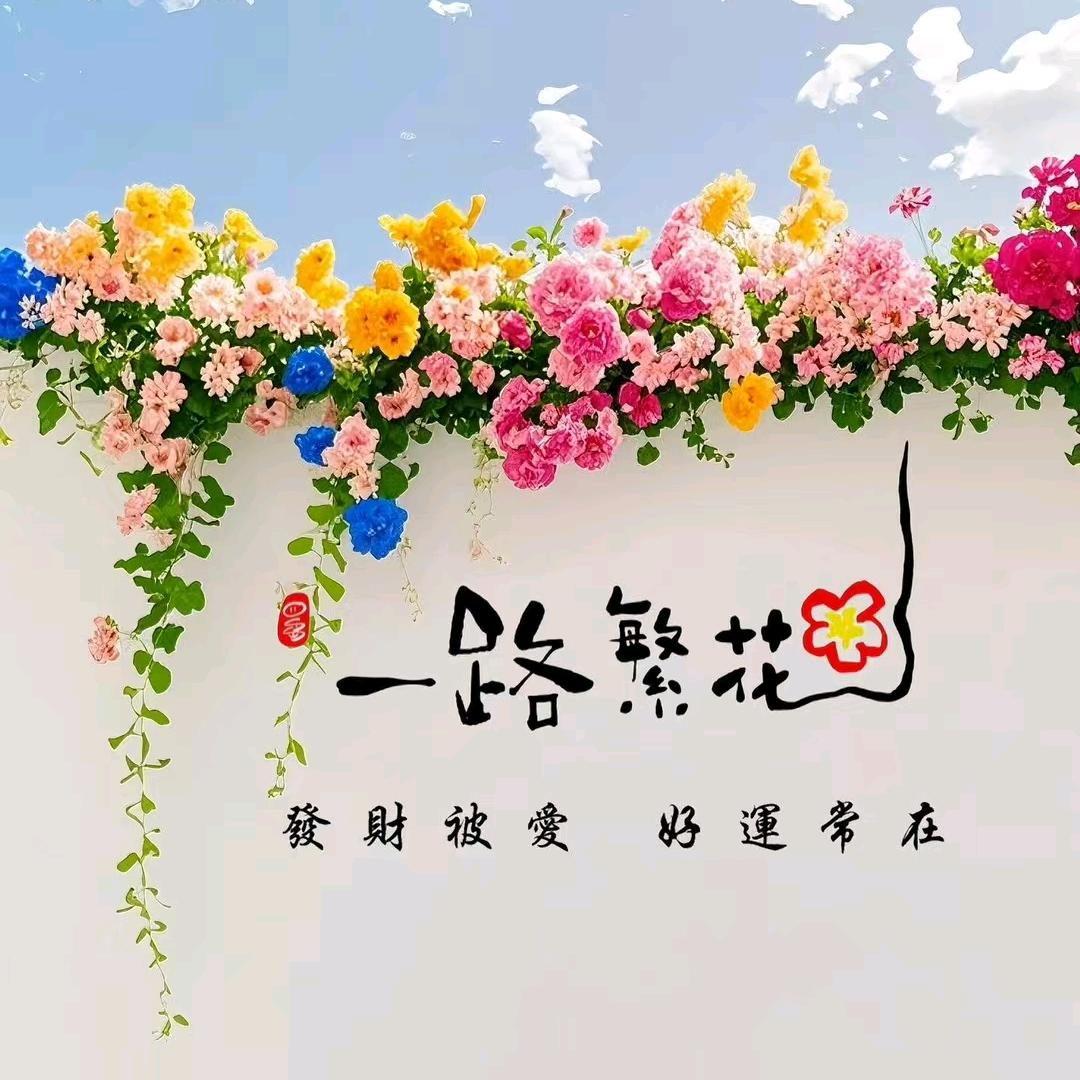 小助理—棠