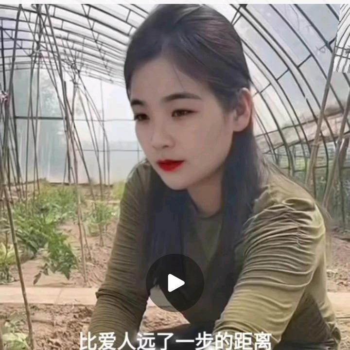 凤翔九天