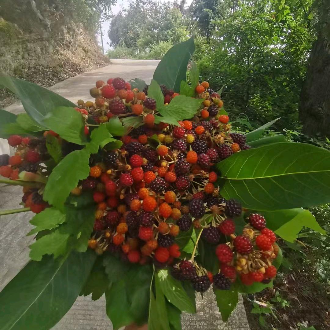 💖糖果色微笑😊😊