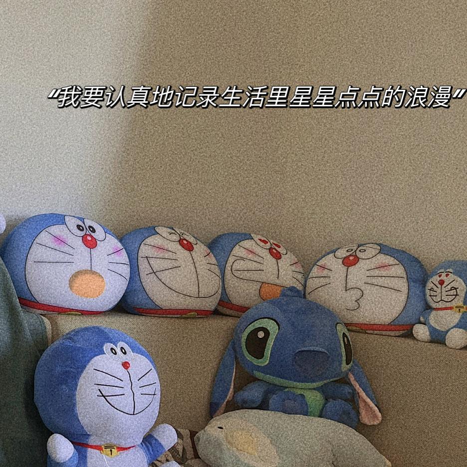 莫叽莫叽