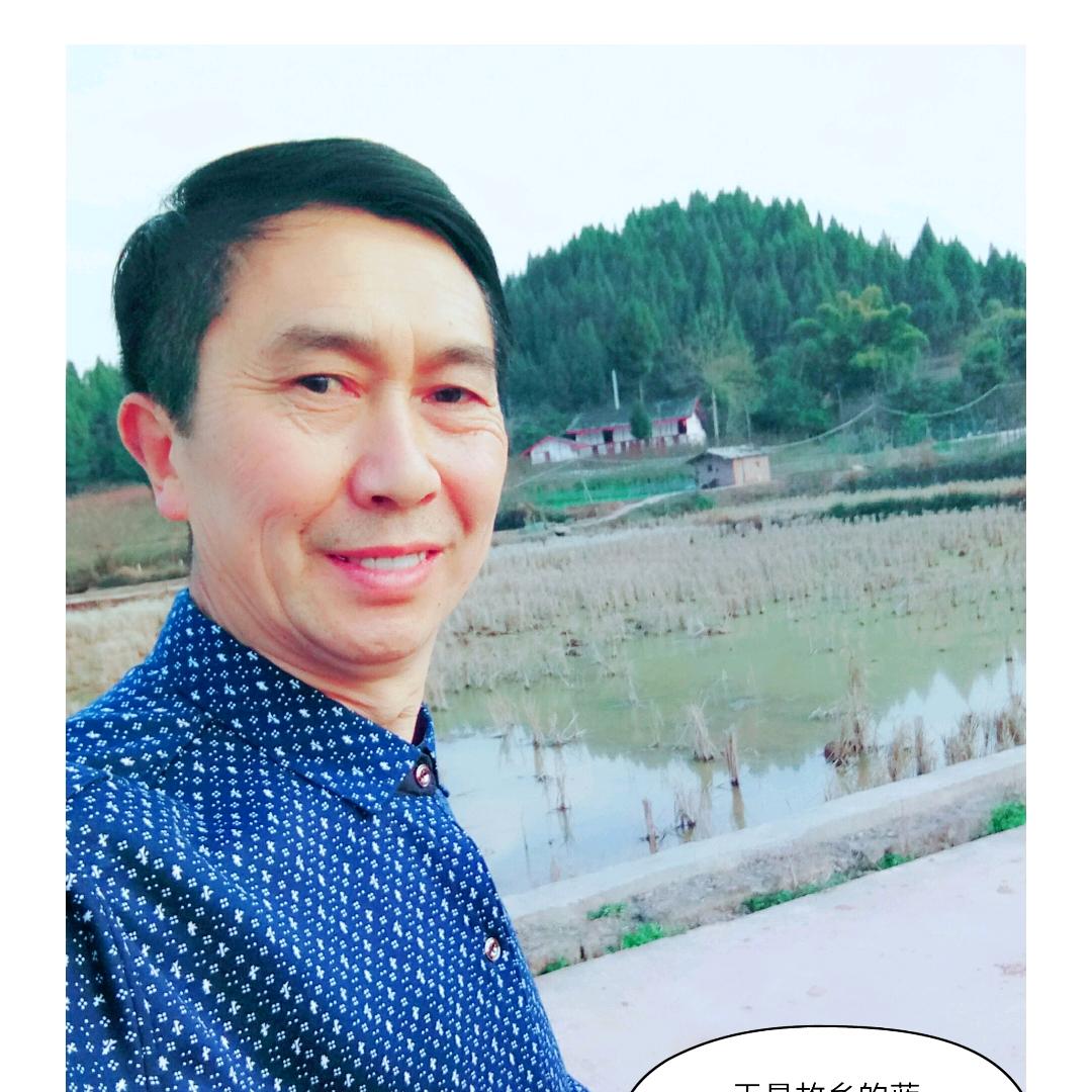 旭日东升