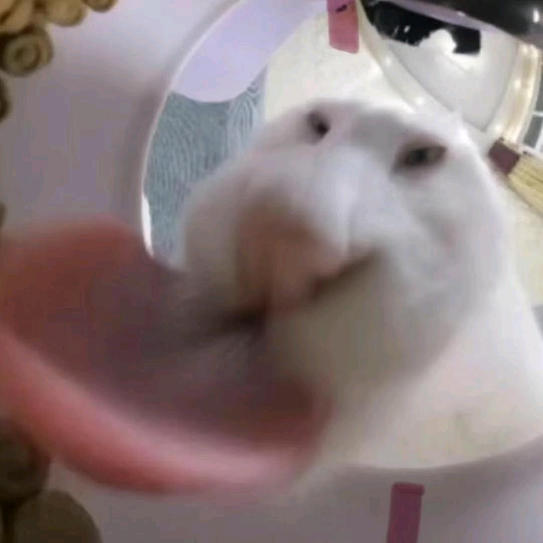给我吃一口