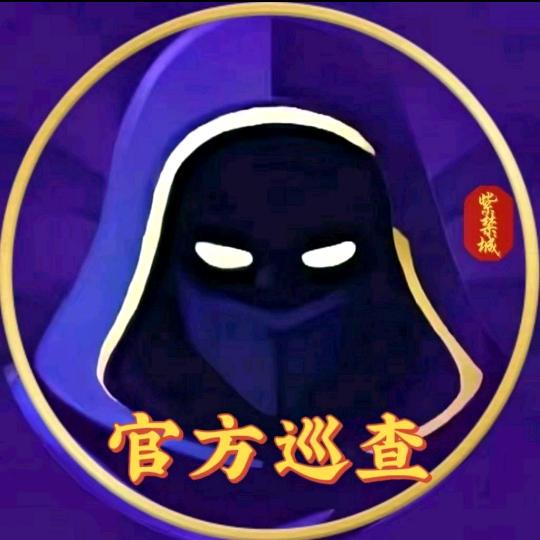 官方巡查