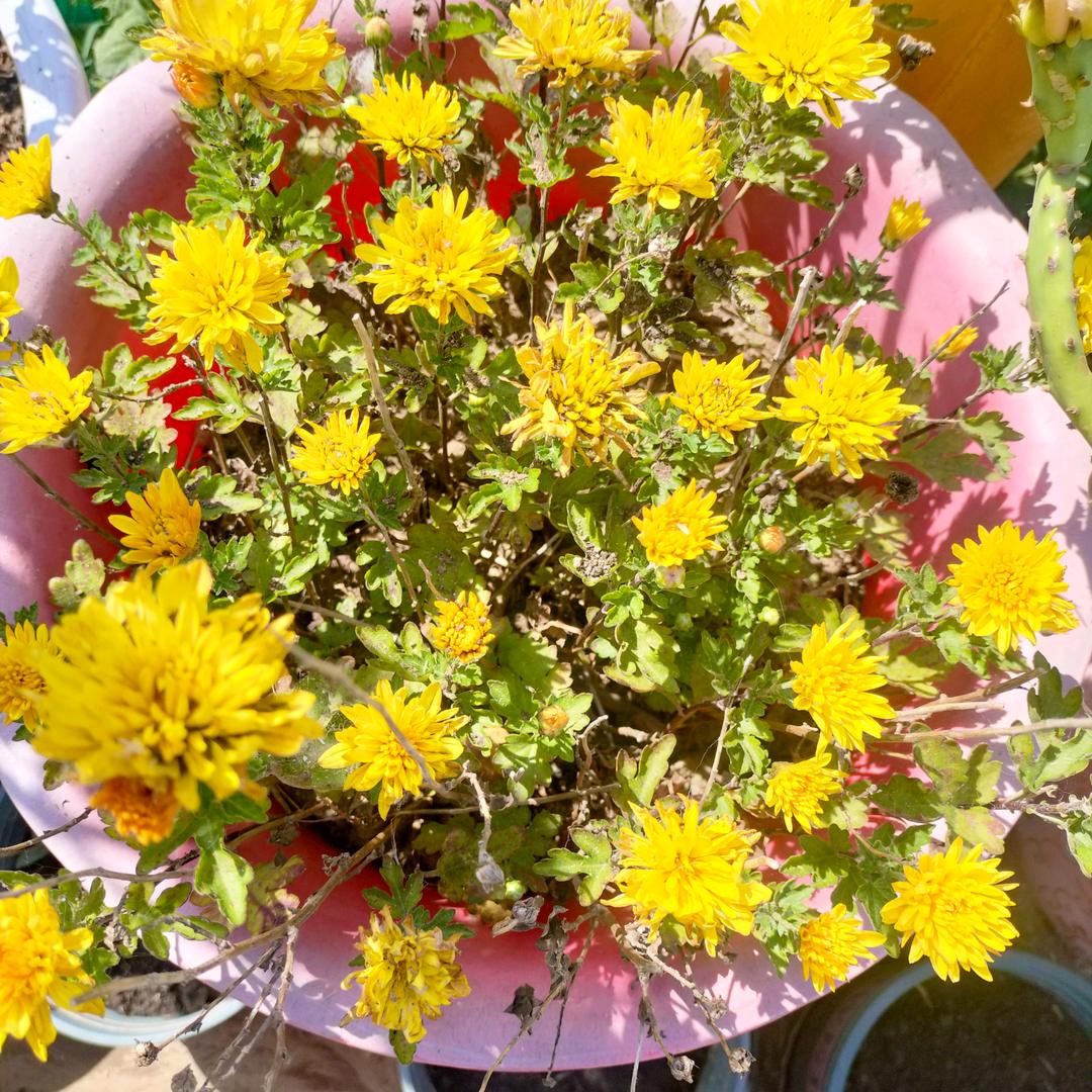 繁花酒吧