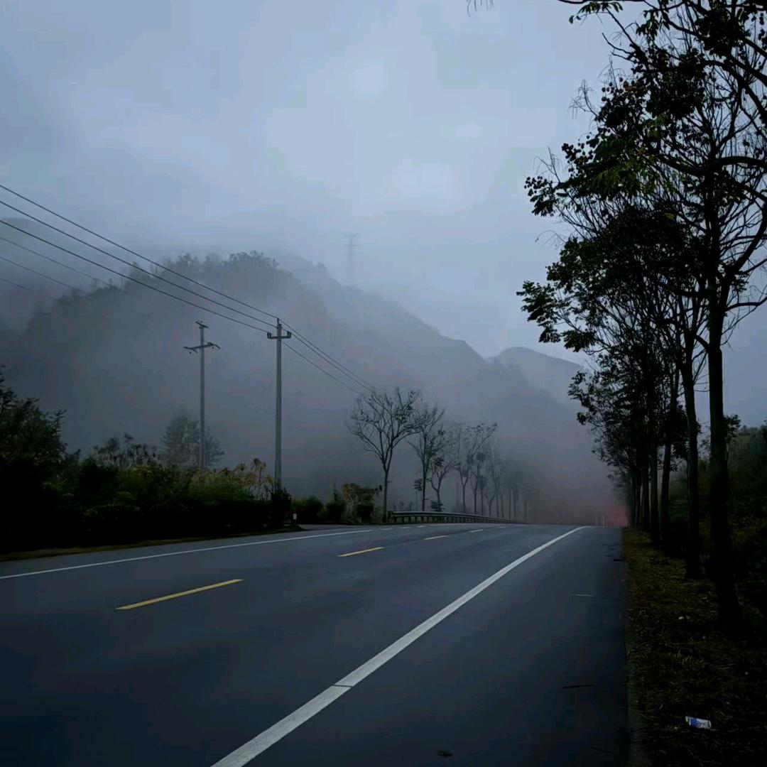 广西冷背中药材