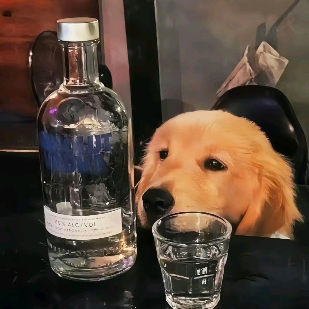 云雾、