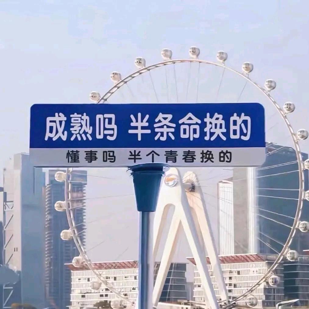 🌾咸鱼翻身黏锅了🌾