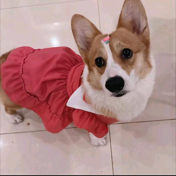 无聊！！头像