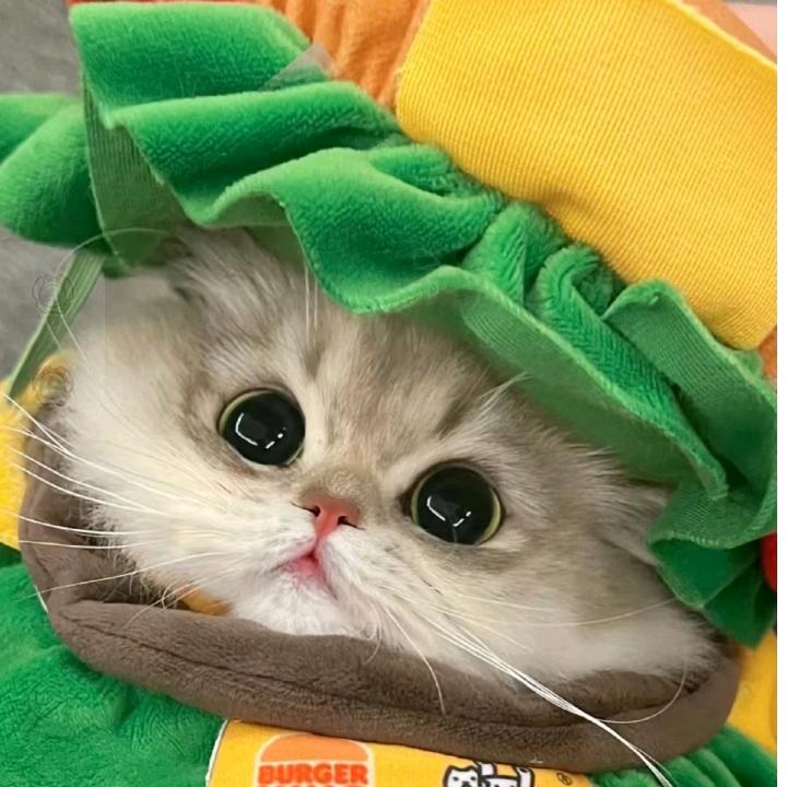 千金之人必有千金之躯