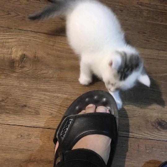 喜欢野钓之探路者老陈。